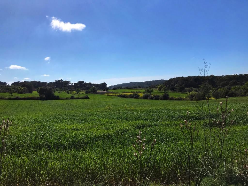 Cycling journey in Mallorca with guide.