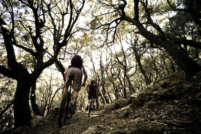 Professional cyclists training on the mountain passes of Mallorca