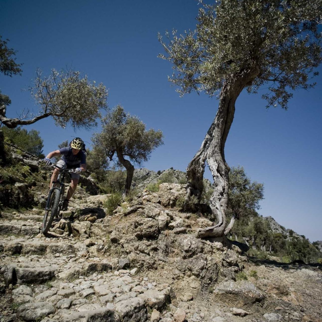 Mountain bike tours in Port de Sóller mountains.