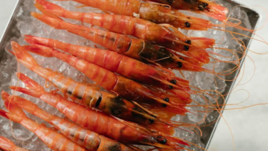 Santa Catalina is a food lover's paradise, featuring unique dining spots with international and local cuisines.